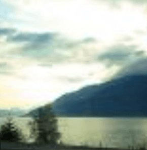 Donec quis diam felis id quam glavrida maximus tempus justo